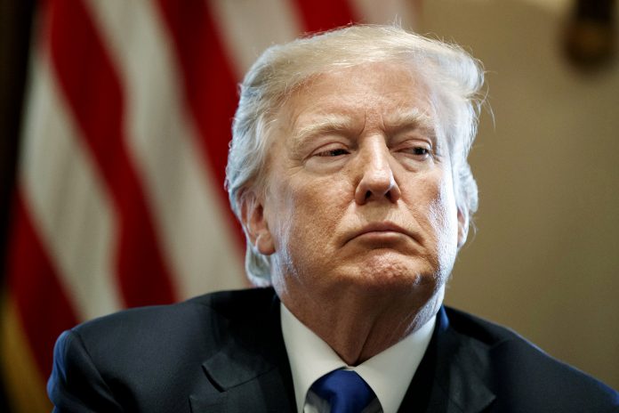 Image: Donald Trump