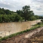 33117525_10216055355966726_4719890980646420480_n