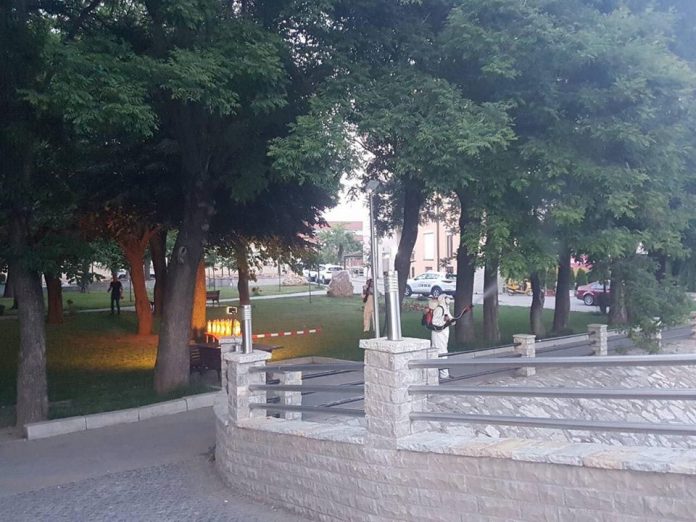 33943777_1811095075618706_3651616293531942912_n