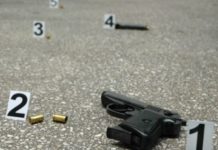 Dogana bastis një lokal në Prishtinë, kap dy kilogramë nargjile e dy armë