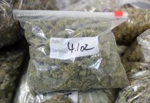 Gjashtë të arrestuar për posedim dhe shitje narkotikësh