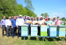 Fillon edhe zyrtarisht vjelja e mjaltit në Podujevë