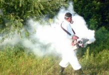 Mbyllni dritaret: Nesër fillon dezinsektimi i hapësirave publike në Podujevë