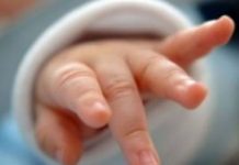 Braktis foshnjën, arrestohet prishtinasja