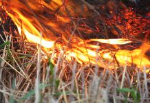 Fjalosen për pronë, femra ia vë zjarrin ushqimit të bagëtisë