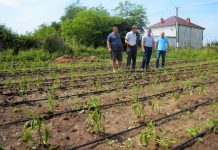 Vlerësohen dëmet e shkaktuara nga reshjet e fundit në Podujevë