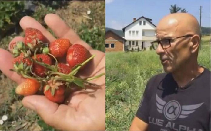 35924259_1738119409642712_355809393041735680_n