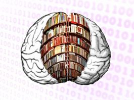 Truri i njeriut mund të ruajë mbi 4.7 miliardë libra