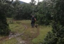 Asnjë gjurmë për burrin që u zhduk në Malishevë, i madh e i vogël në kërkim të tij