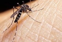 Konfirmohet rasti i dytë me malaria në Kosovë, flet Dr. Hamdi Ramadani