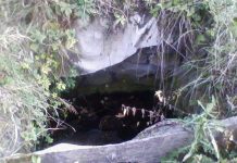 Kroi i dashurisë në fshatin Brainë të Podujevës