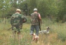 Dalin në gjueti me pushkë pa leje, ndalohen dy persona në Podujevë