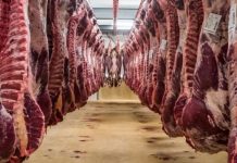 Bllokohen 180 tonë mish i ardhur nga Brazili