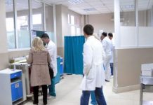 Shtohet numri i pacientëve që kërkojnë ndihmë nga pickimi i insekteve