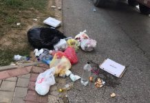 Pritjet e gjata të mërgimtarëve në kufi dhe mbeturinat e shumta (Foto)