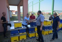 Podujeva shpërndau 500 shoqëri bletësh për bletarët llapjanë