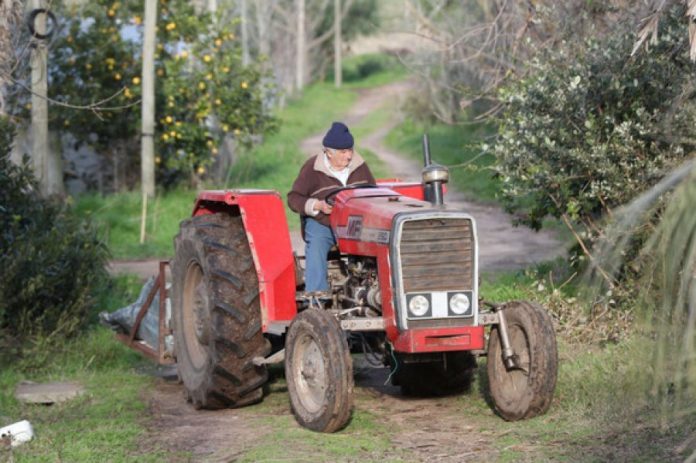 auto_muhika21534401073