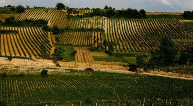 rahovec-01-1200x630_1535694417-1765969