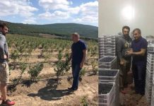 Yll Hoxha nga Podujeva, gjatë këtij viti ka grumbulluar rreth 10 ton kultura bujqësore, pret eksportimin e tyre në Holandë