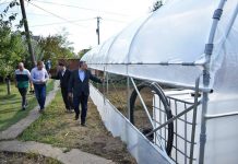 Fillon ndërtimi i 100 serrave nga Komuna e Podujevës