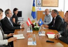 Hamza: Austria partner strategjik i Kosovës
