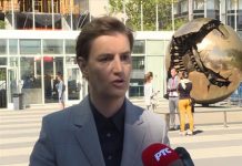 Bërnabiq: Amerika s’ka më vija të kuqe për çështjen e Kosovën