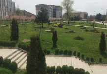 Këta janë të pranuarit në konvikte