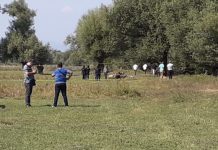 Shkodër, gjenden një person i vrarë dhe një makinë e djegur