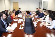 Gjermania ofron mbështetje për proceset nëpër të cilat po kalon Kosova