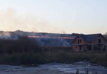 Zjarr i madh në Podujevë, intervenojnë zjarrfikësit (Foto-Video)