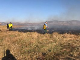 Digjen arat në fshatin Shtedim (Foto)