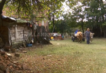 Familja Maloku mbijeton me vështirësi (Video)