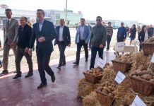 Veseli: Në dekadën e dytë të pavarësisë, heronjtë e vërtetë do të jenë prodhuesit