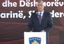 Thaçi optimist: Liberalizimi i vizave pritet të ndodhë muajt e ardhshëm