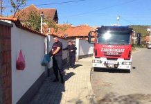 Zjarrfikësit e Podujevës shërbehen me molla falas në Shajkovc (Foto)