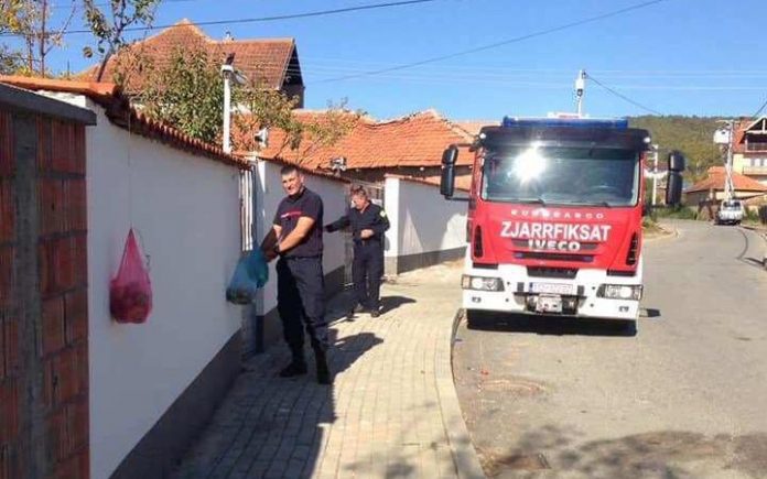 zjarr 1