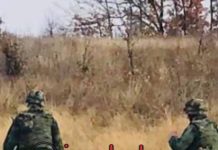 Xhandarmëria serbe futet në arat e Dumnicës së Podujevës