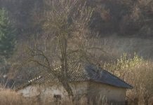 Potoku, fshati i Llapit ku jetojnë vetëm dy familje (Video)