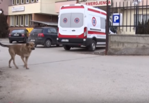 Vdes një vajzë në Podujevë pas trajtimit të pandërgjegjshëm shëndetësor