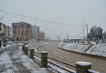 Parashikimi i motit, priten reshje bore