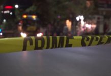 Momenti kur policia i arrestoi hajnat e Viva Freshit