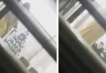 Si në filma! Hajni në Istog mori peng qytetarët me kallash