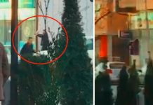 Dalin pamje të reja nga Istogu: Luftë disa minutëshe mes Policisë dhe hajnit