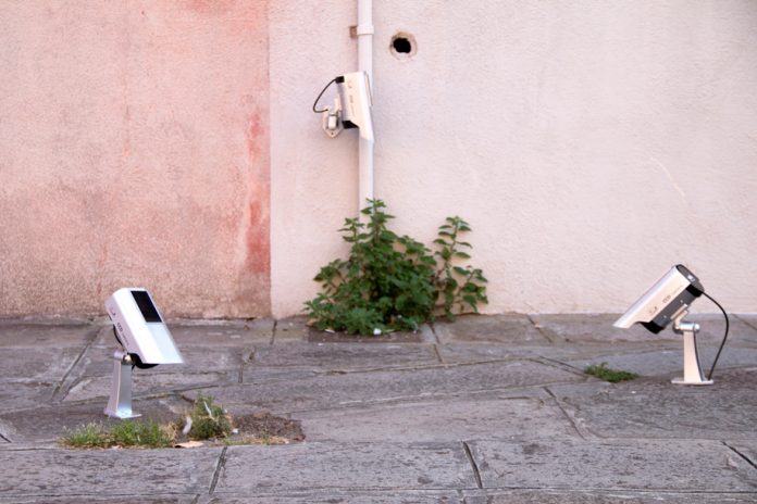 bienal-venecia-octavi-serra-1