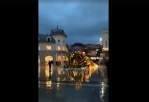 Erërat e fuqishme rrëzojnë bredhin tek sheshi “Skënderbeu” në Prishtinë (Video)