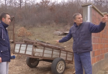 Xhevdet Zogjanit i vidhen katër lopë (Video)