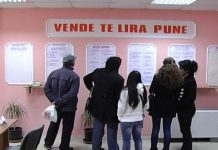 Për 100 vende pune në KEK konkurruan 20 mijë qytetarë