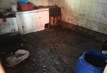 Një muaj paraburgim personit që shiste mish të prishur të lopës