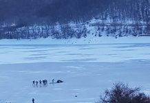 Akulli lëshon një person me motor në Liqenin e Batllavës