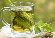 Çaji i hithrave është ilaç për shumë sëmundje